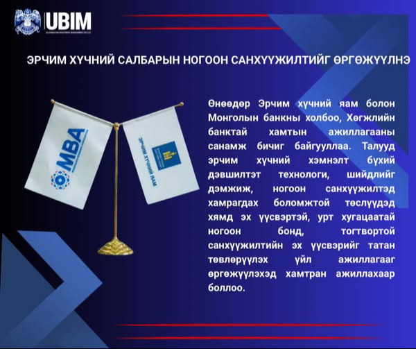 ЭРЧИМ ХҮЧНИЙ САЛБАРЫН НОГООН САНХҮҮЖИЛТИЙГ ӨРГӨЖҮҮЛНЭ.